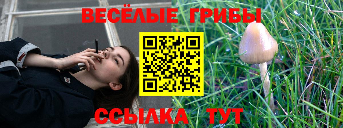 Галлюциногенные грибы Psilocybine cubensis Ростов-на-Дону