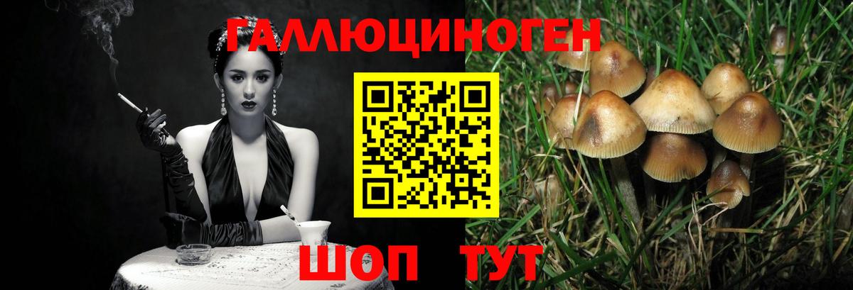 Ростов-на-Дону  Галлюциногенные грибы GOLDEN TEACHER  Вход с VPN 